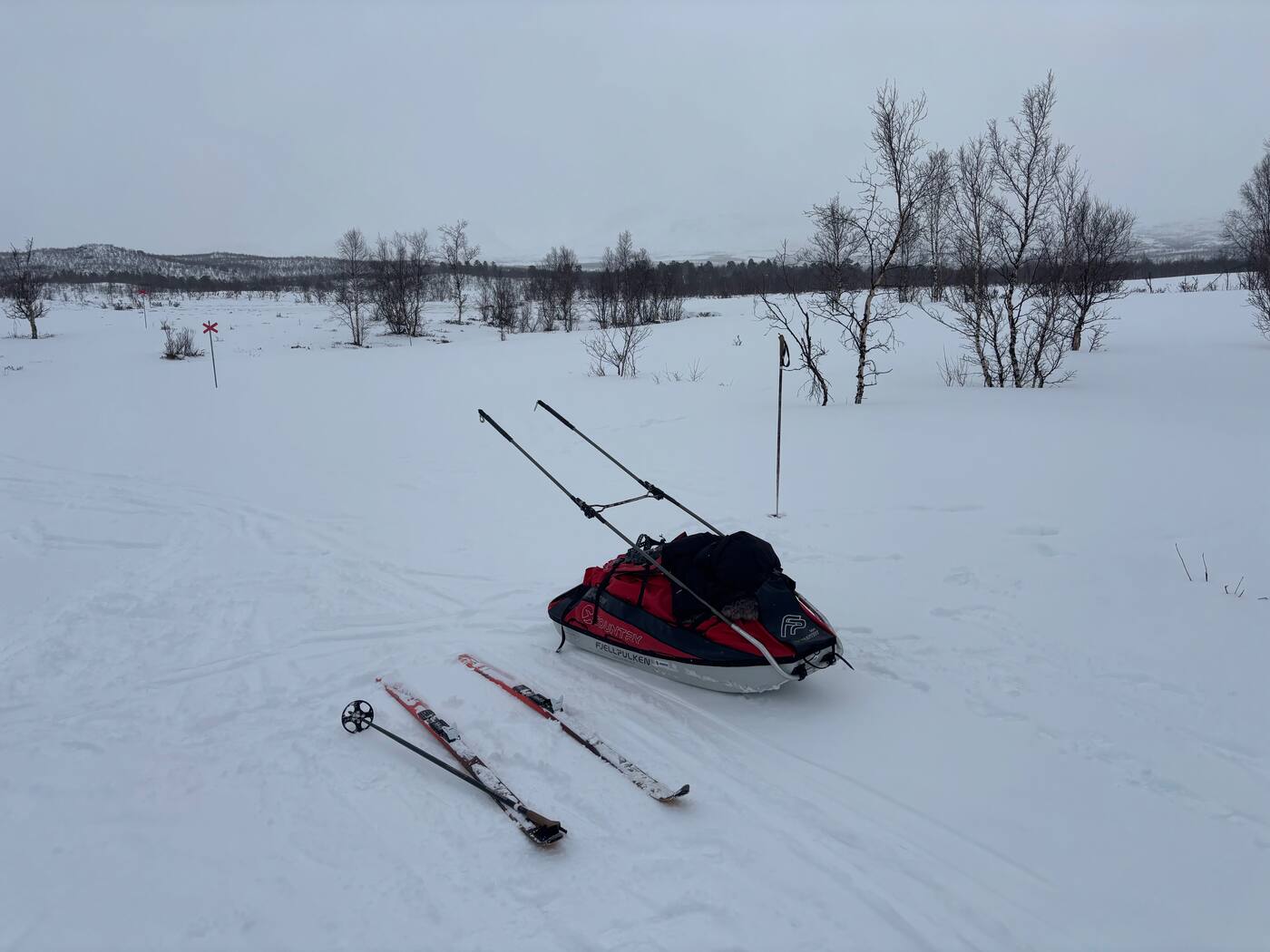 Pulka Fjellpulken rouge, skis et bouleaux dans la neige